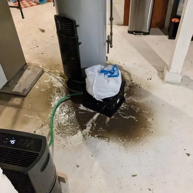 Sewage Backup Cleanup Service in Glenshaw, PA